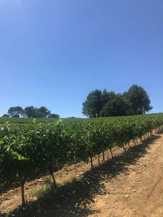 Bastide Bellugue Maison D'Hotes Reseau Bienvenue A La Ferme A 3 Minutes De Lourmarin Cadenet 0*,