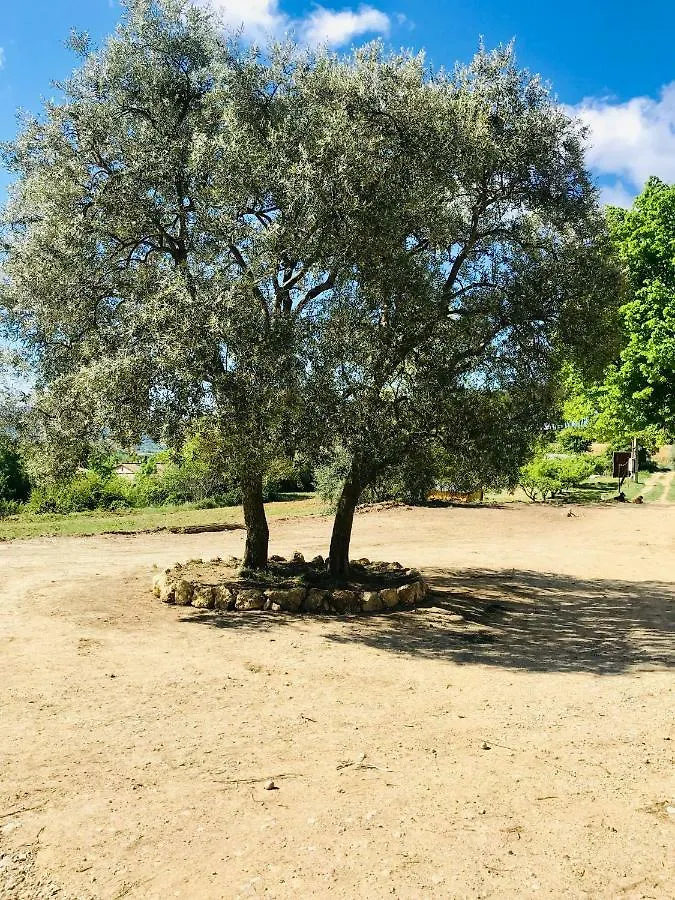 Bastide Bellugue Maison D'Hotes Reseau Bienvenue A La Ferme A 3 Minutes De Lourmarin 卡德内 住宿加早餐酒店