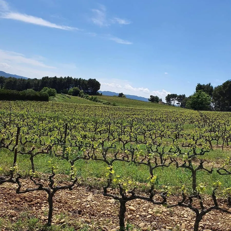 Bastide Bellugue Maison D'Hotes Reseau Bienvenue A La Ferme A 3 Minutes De Lourmarin Cadenet
