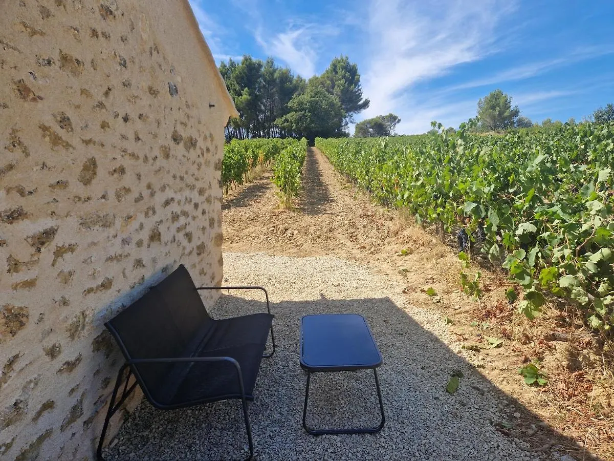 Bastide Bellugue Maison D'Hotes Reseau Bienvenue A La Ferme A 3 Minutes De Lourmarin Cadenet France